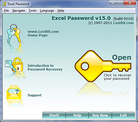 Excel password recovery screen shot